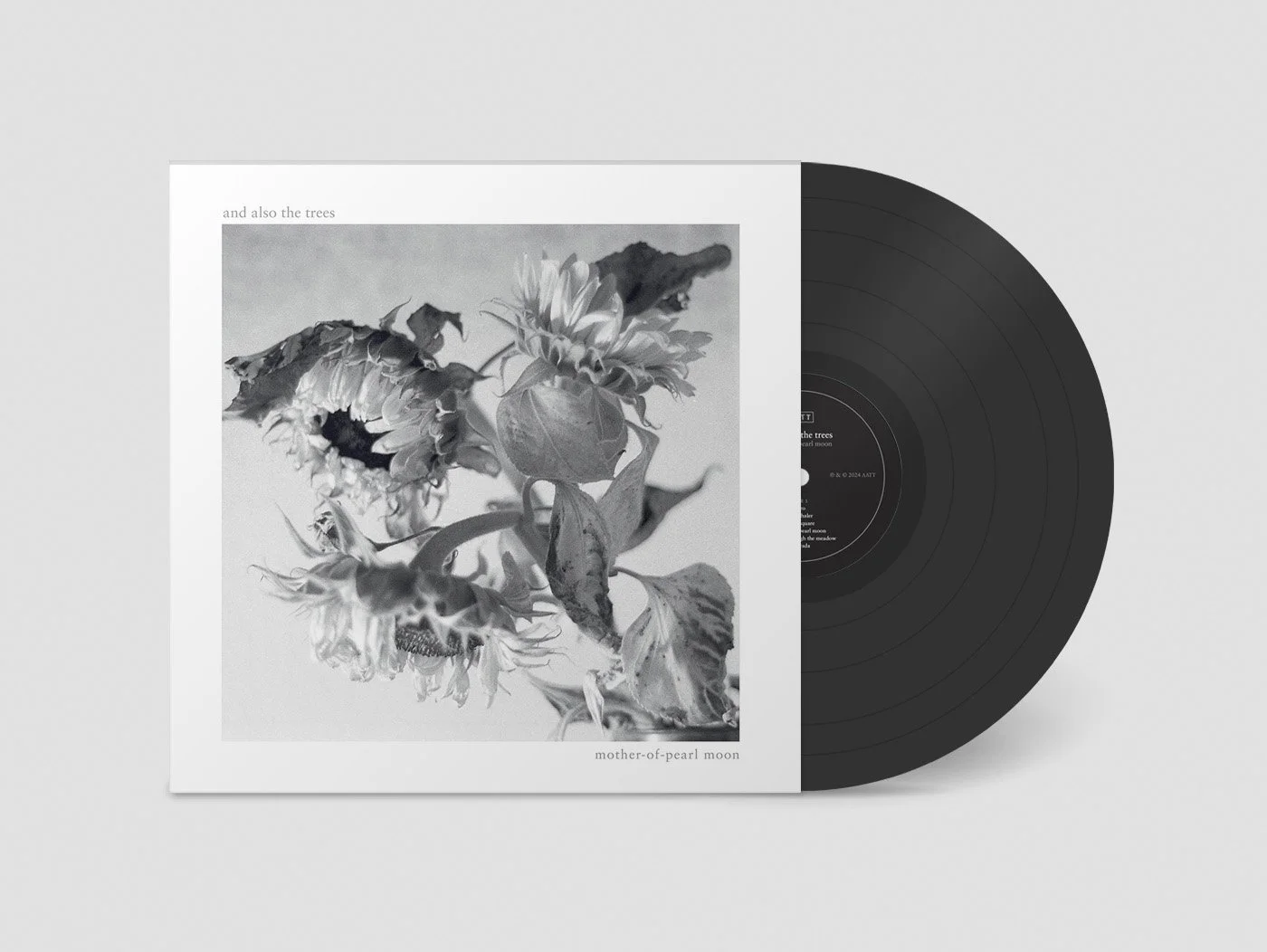 希少 And Also The Trees CD まとめ and also the trees | And Also The Trees